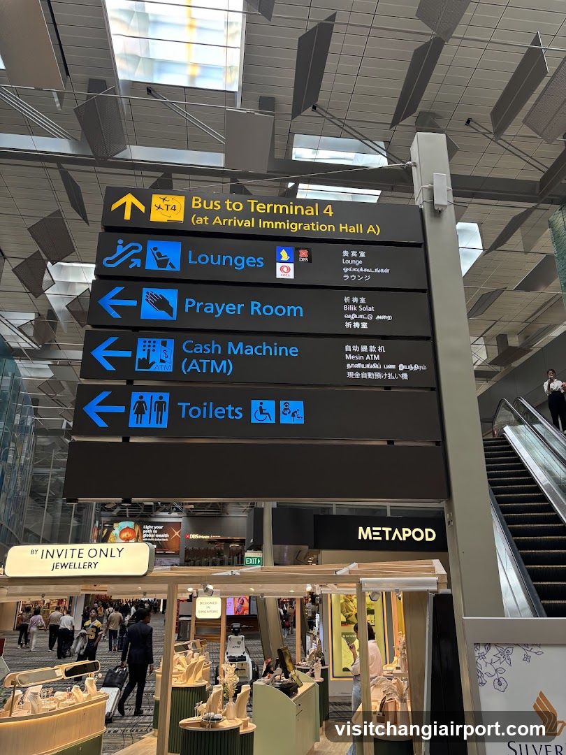 Airport Terminal Signage and Storefronts