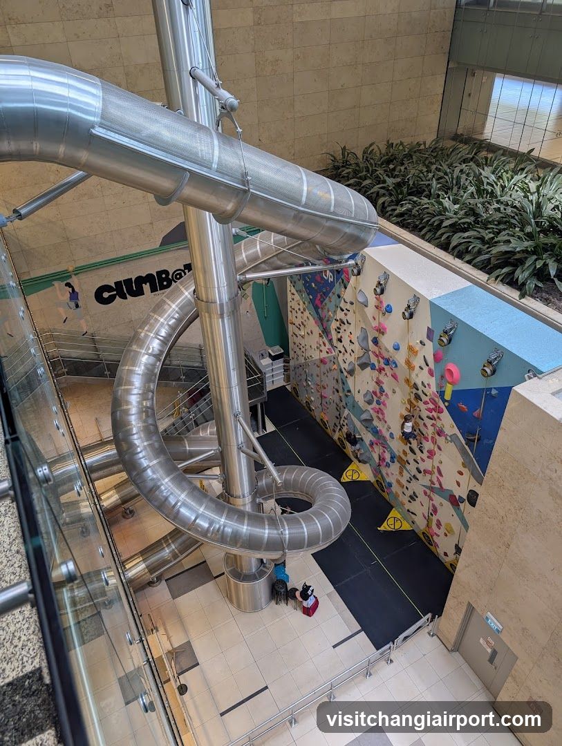 Indoor Play Area with Slide and Climbing Wall