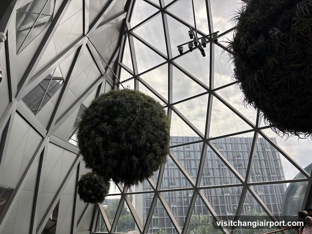 Geodesic Dome Interior with Hanging Plants