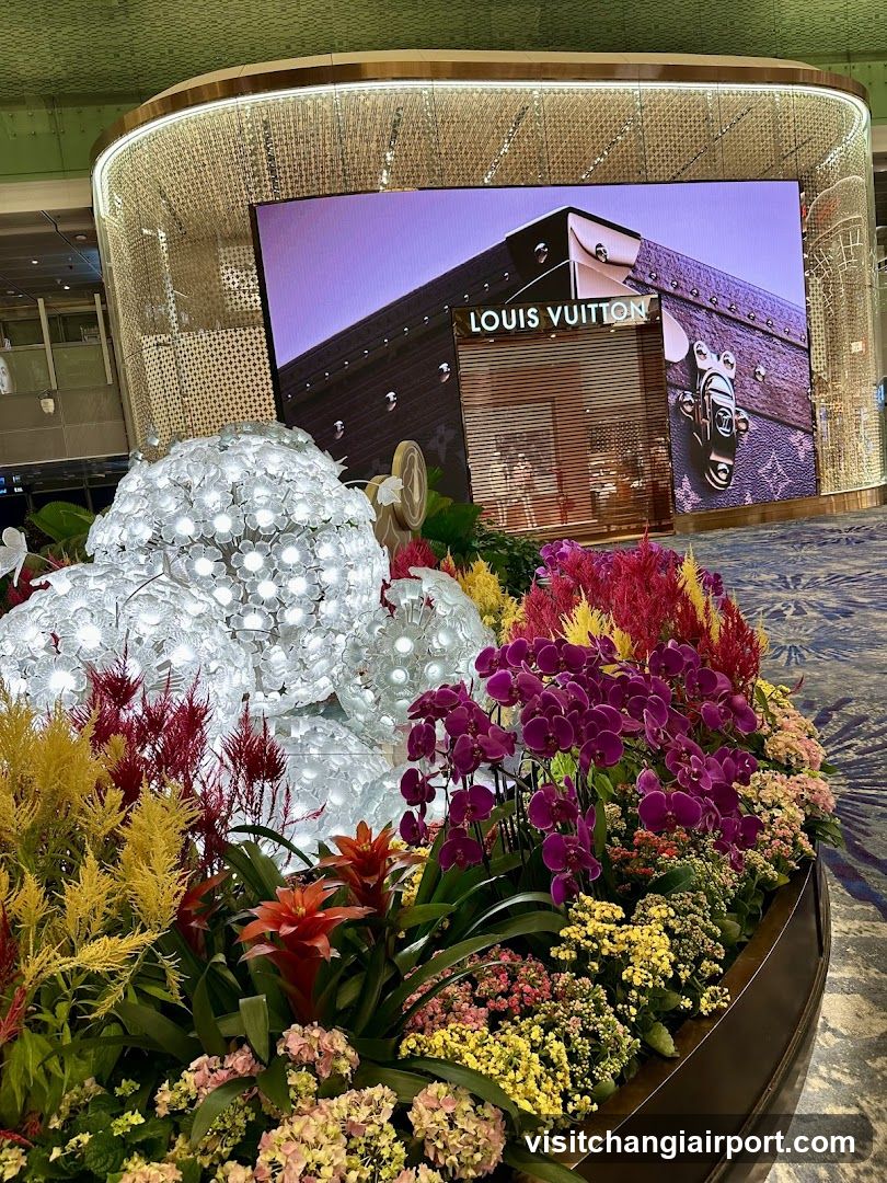 Louis Vuitton Display