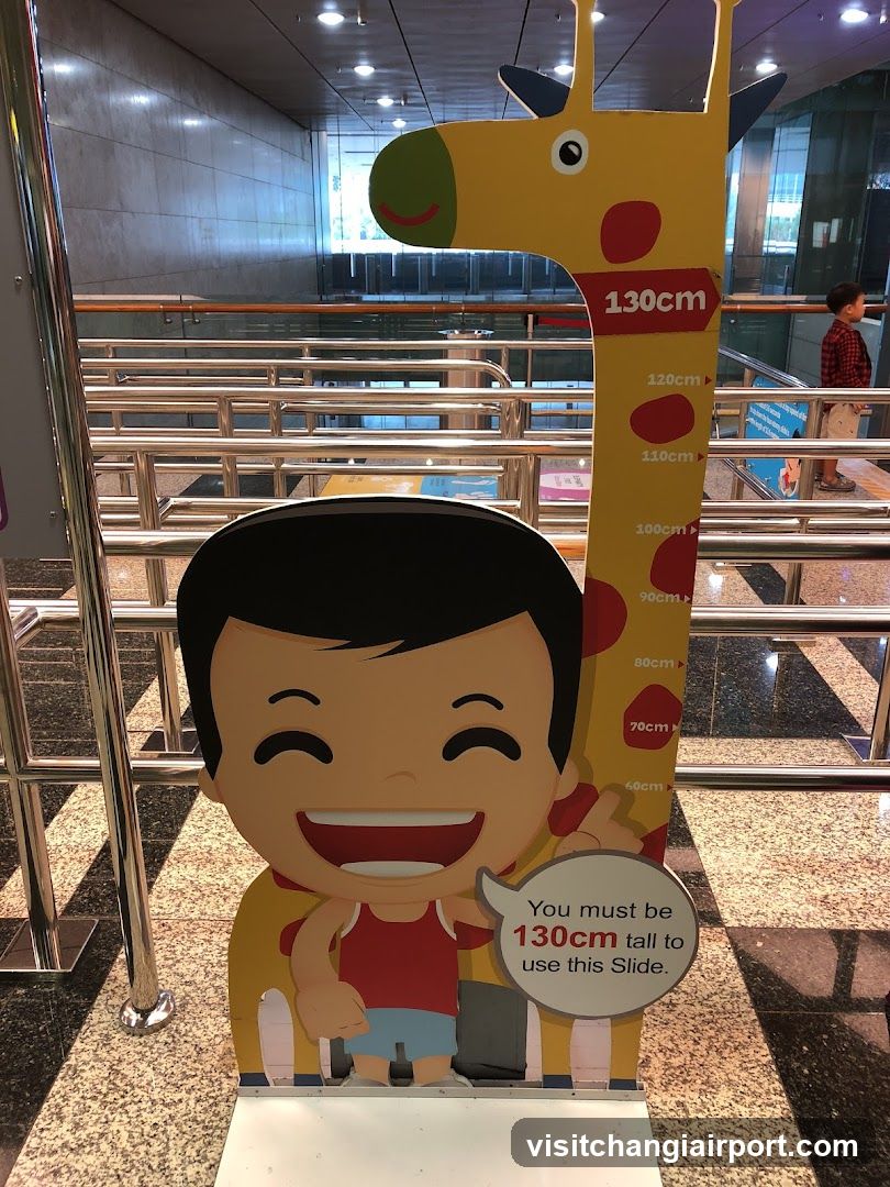 Height Chart Signage