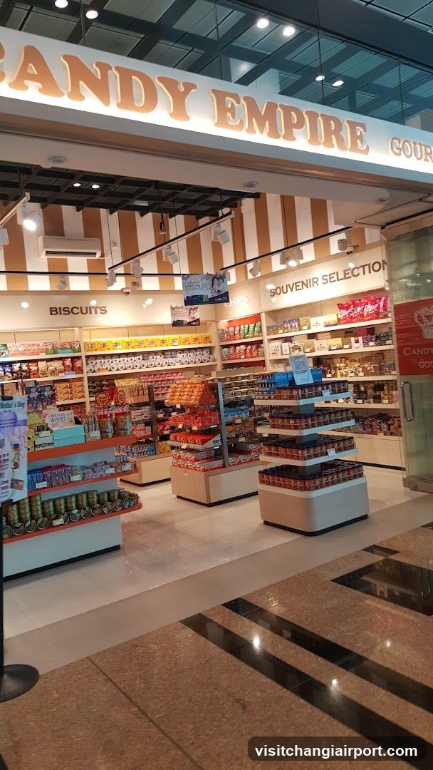Discover Singapore T3