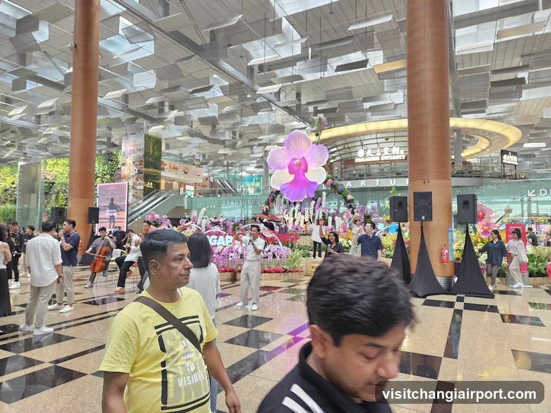Orchid Display in Shopping Mall