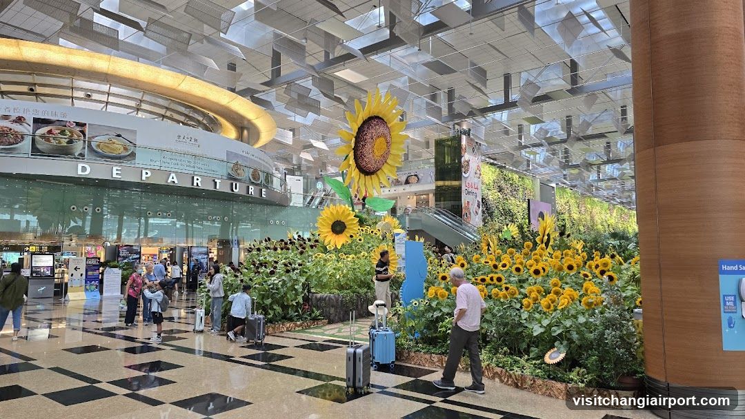 Sunflower Garden at Airport Terminal