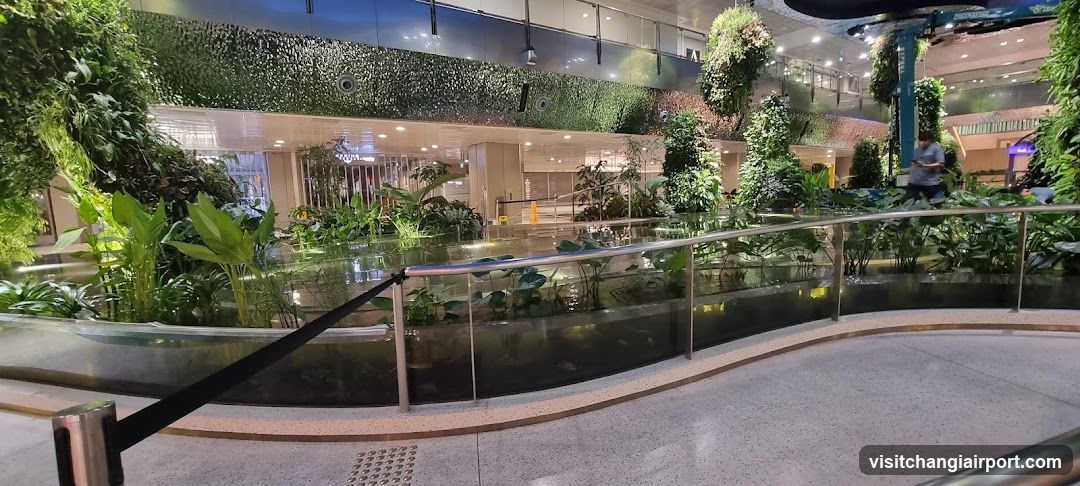 Indoor Garden with Water Feature