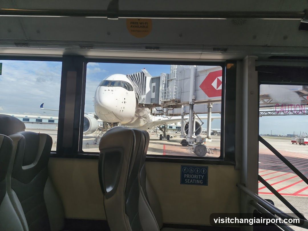 Airport Shuttle View