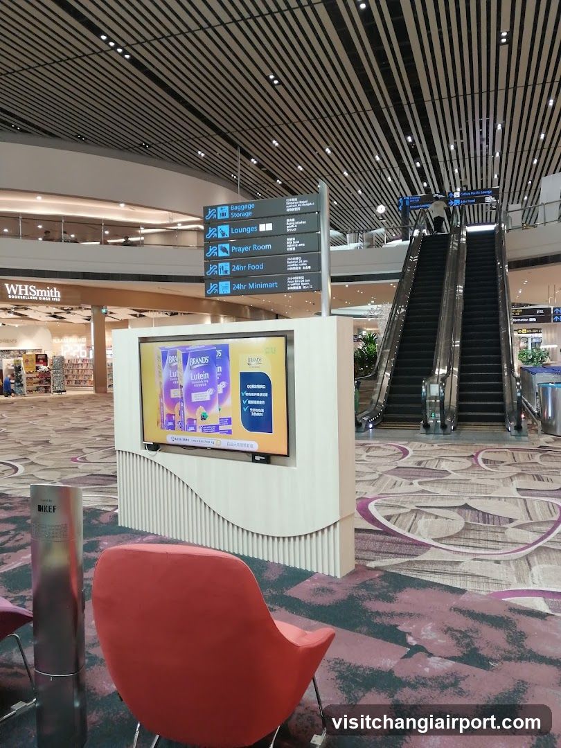 Airport Terminal Interior