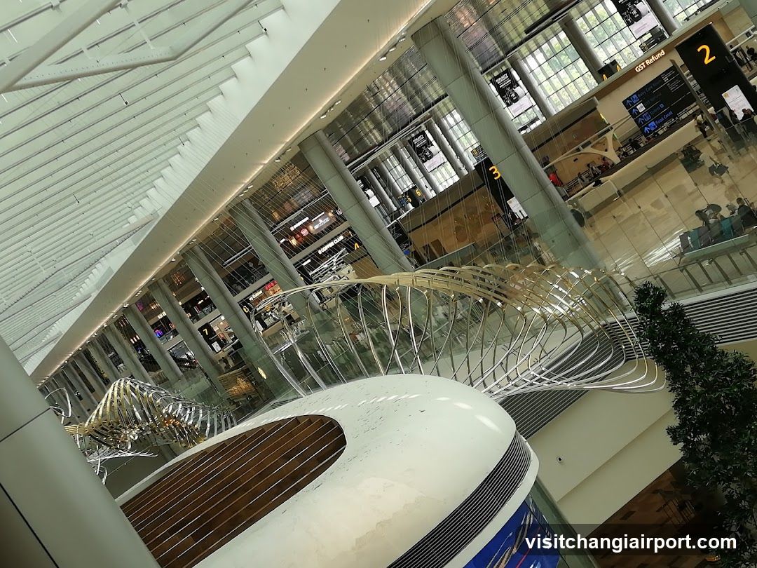 Airport Interior View