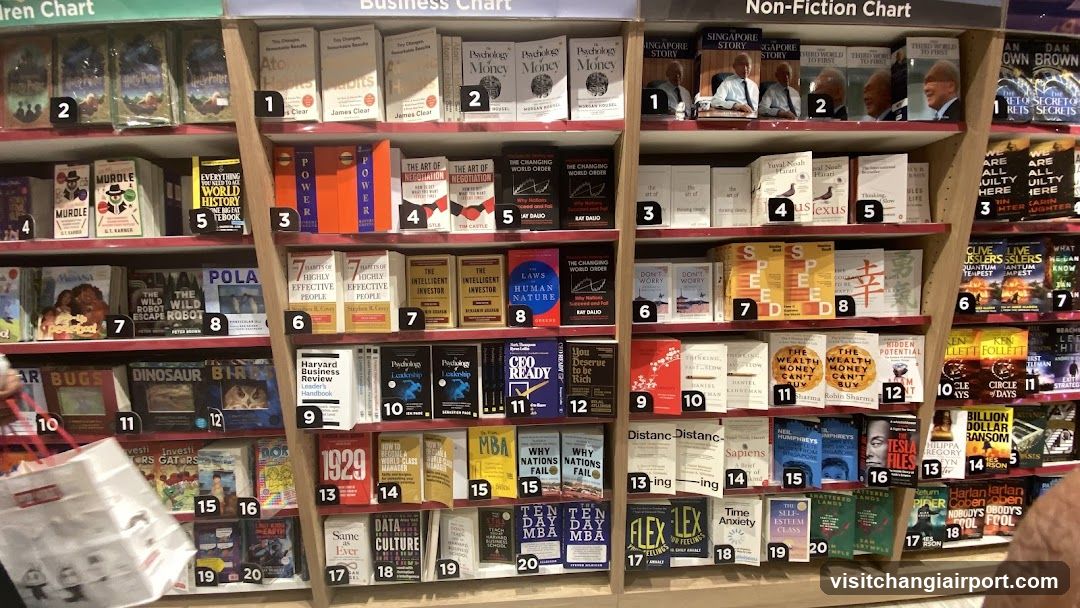 Bookstore Interior Shelf Display