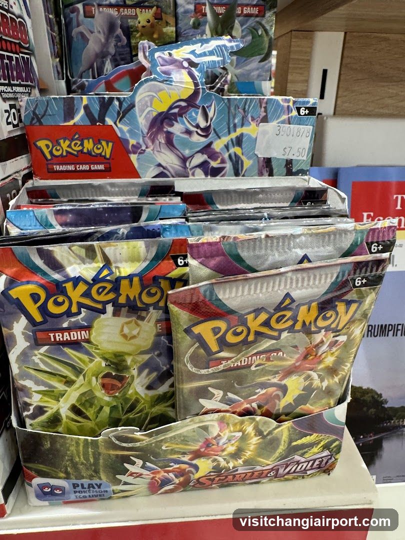 Pokemon Trading Card Game Display
