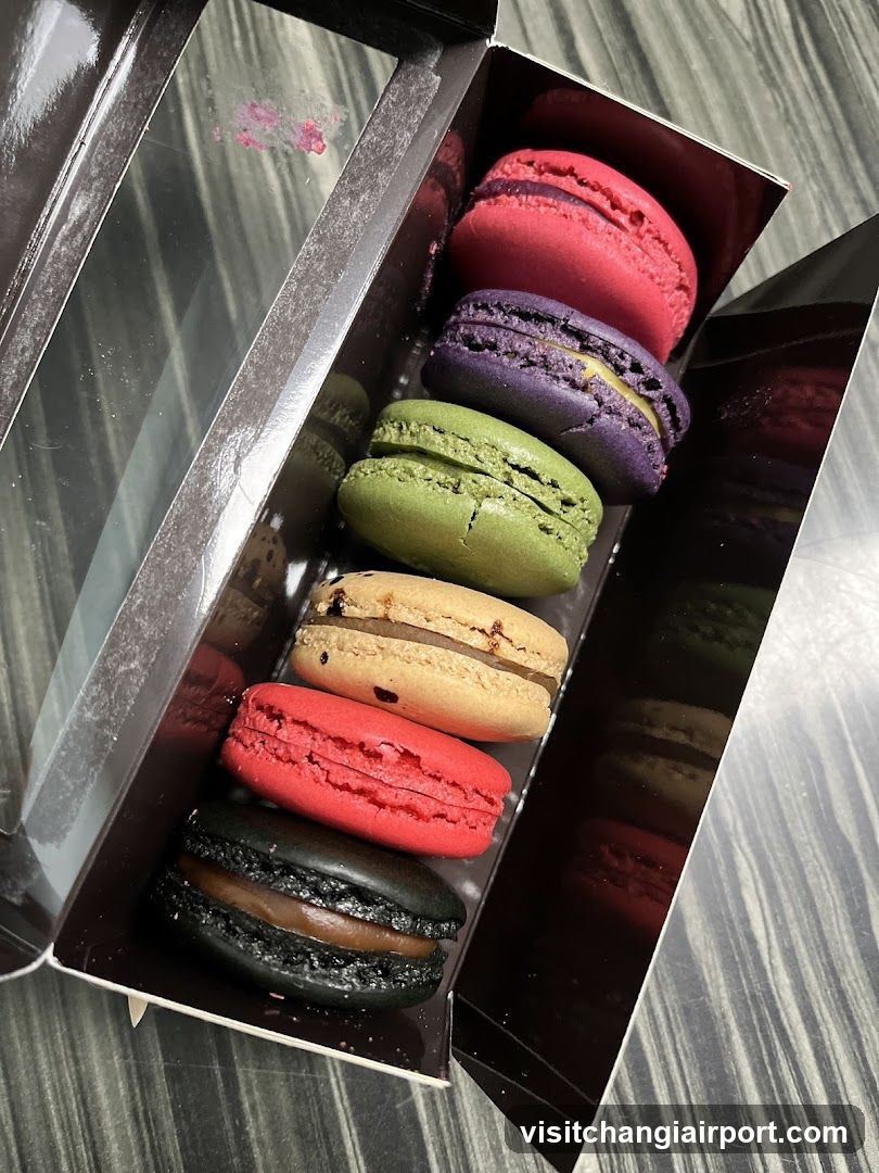Colorful Macaron Box
