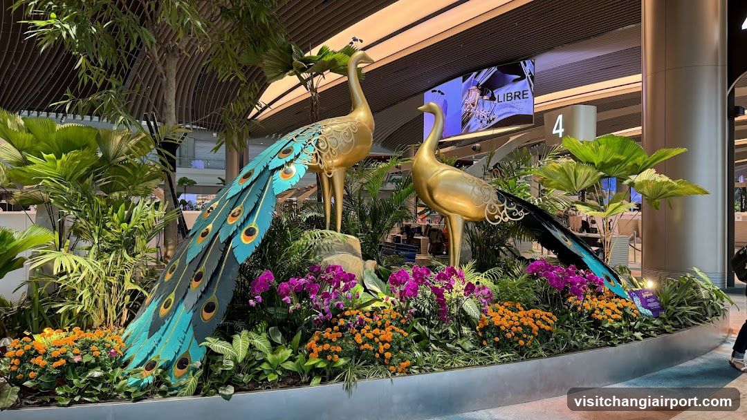 Peacock Garden Display