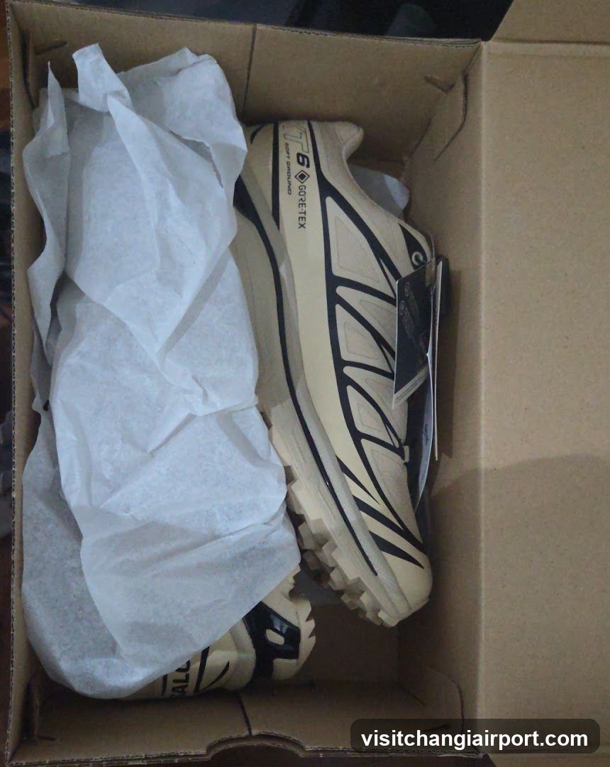 Shoe Box with Salomon Shoes