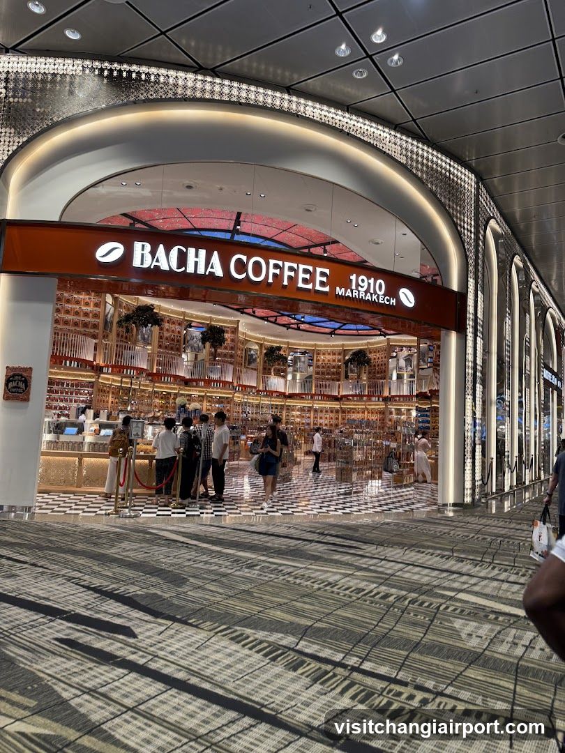Bacha Coffee Store Interior View
