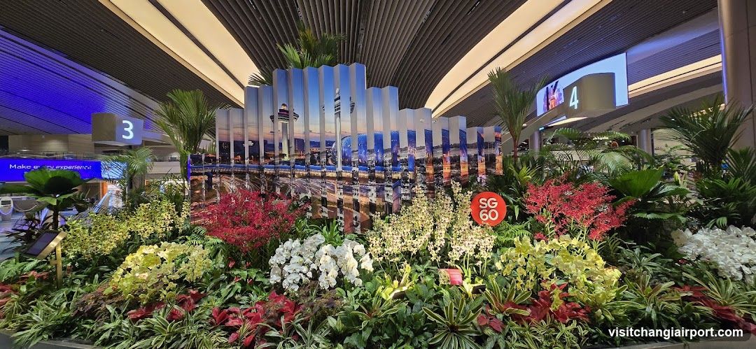 Airport Garden Display