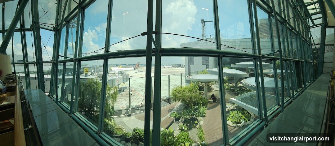 Airport Terminal View with Garden and Plane