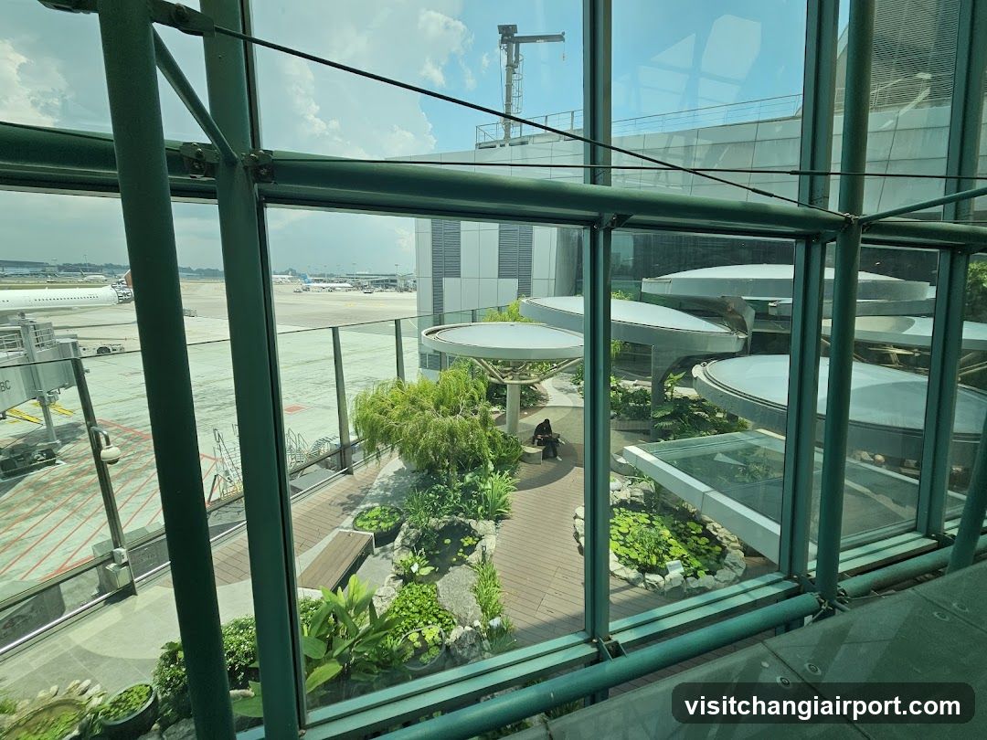 Airport Garden View