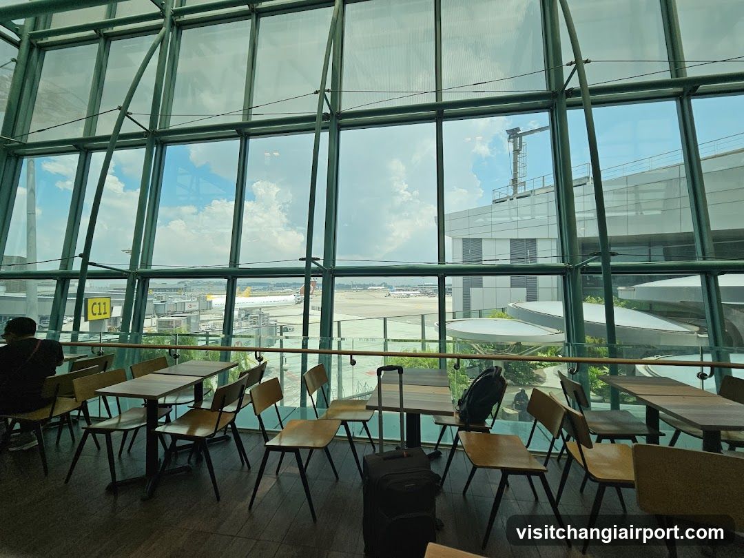 Airport Lounge View