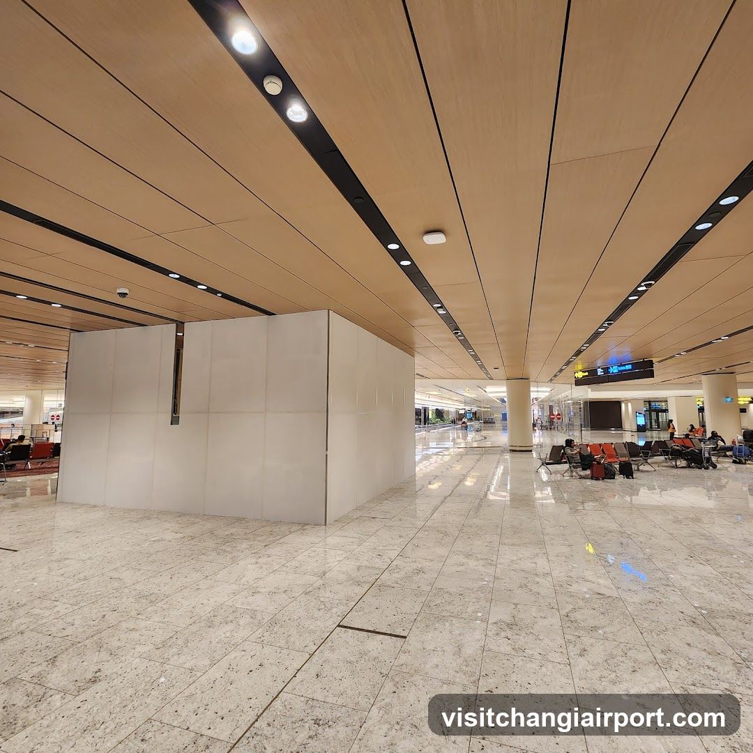 Airport Terminal Interior