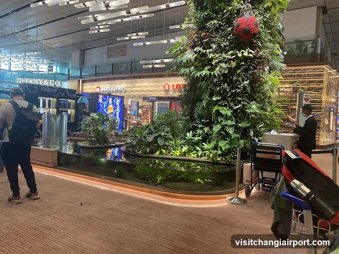 Airport Terminal Interior with Greenery and Shops