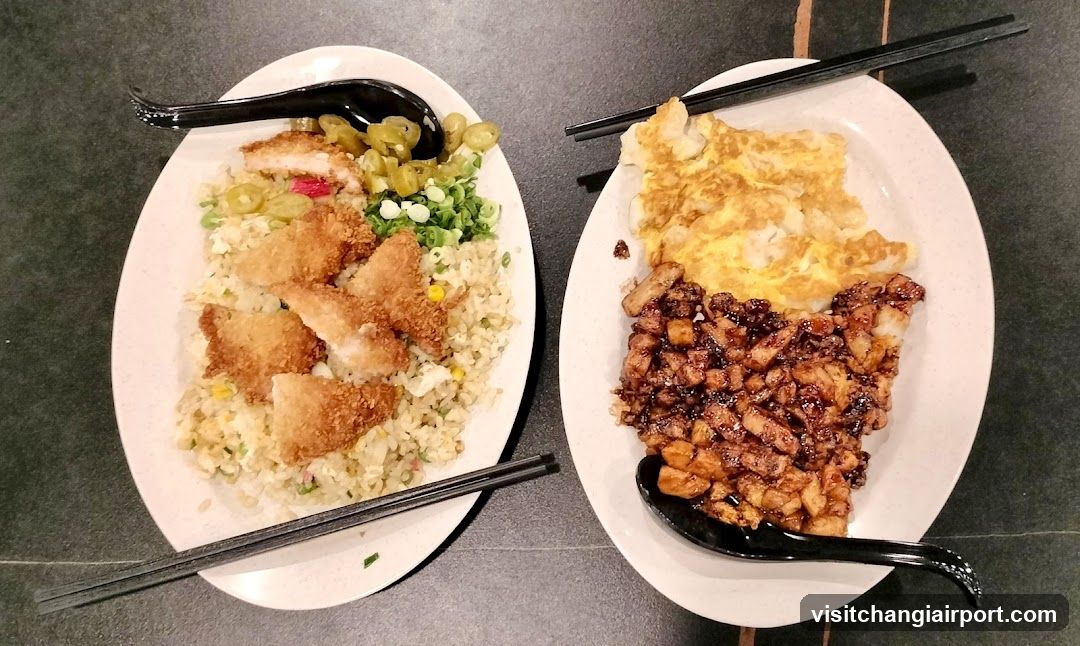 Two plates of fried rice with toppings