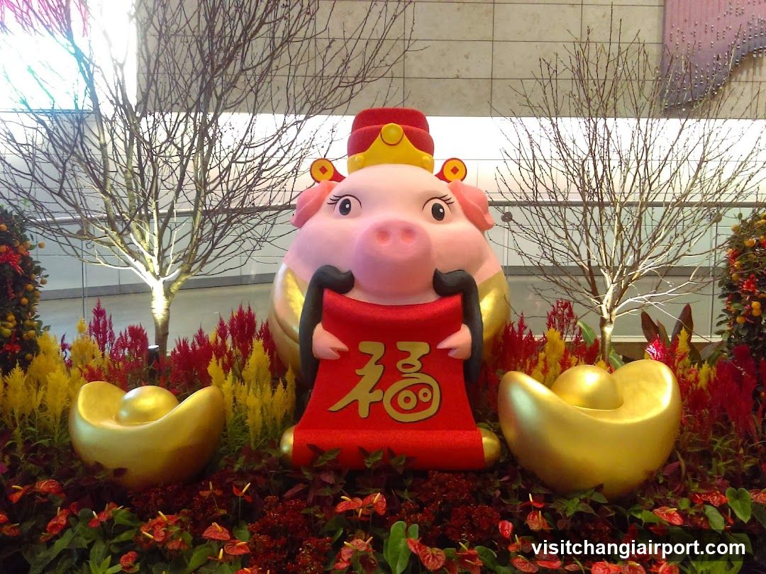 Chinese New Year Pig Statue Display