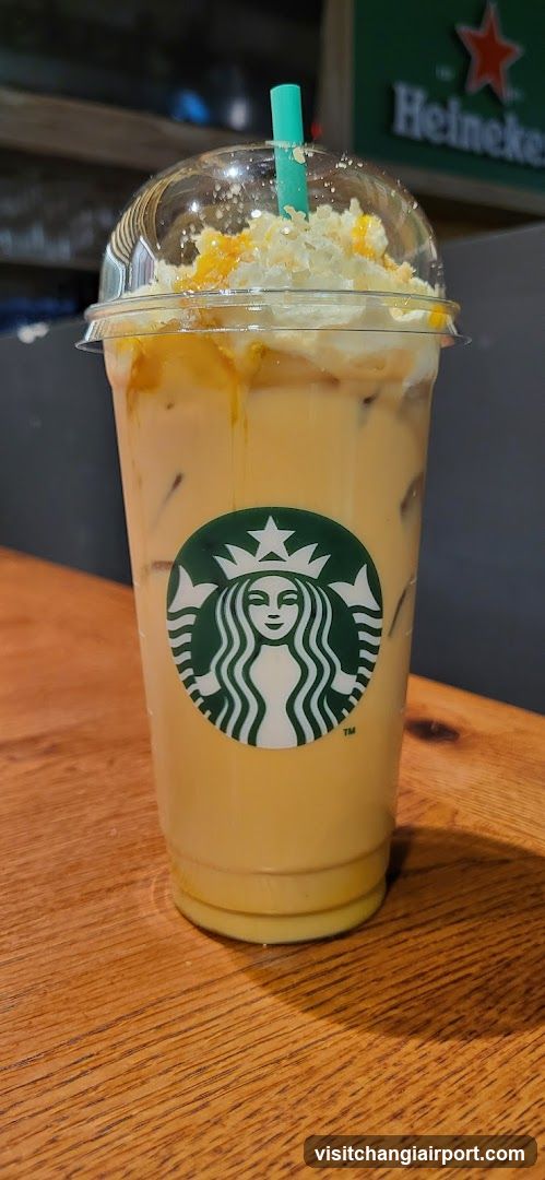 Starbucks Iced Drink with Topping