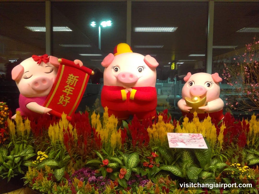 Pig New Year Display