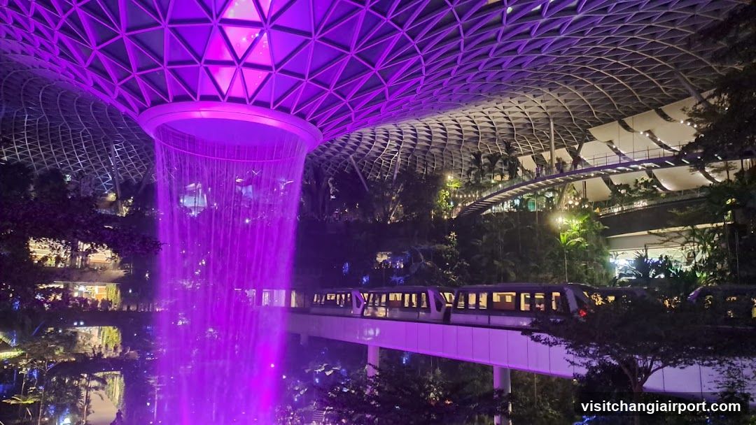 Singapore Garden at Night