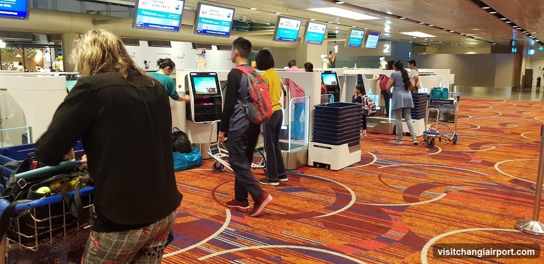Airport Check-in Hall