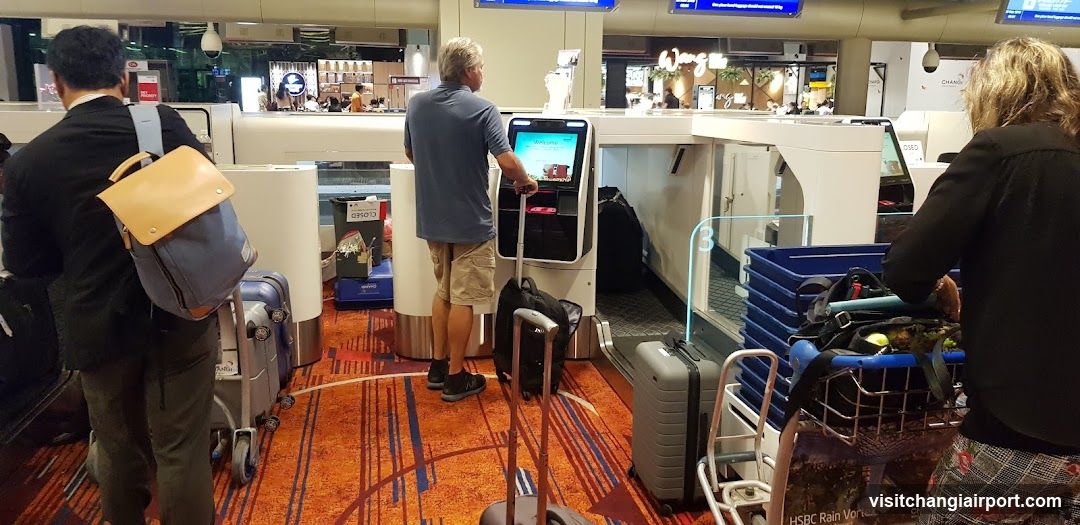 Airport Check-in Area with Luggage and Self-Service Kiosks