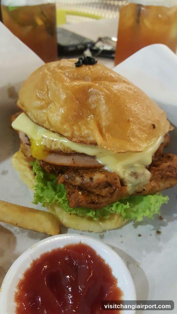 Fried Chicken Sandwich with Fries and Ketchup
