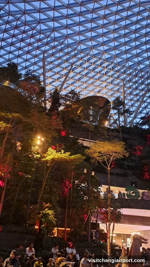 Indoor Garden with Geometric Ceiling