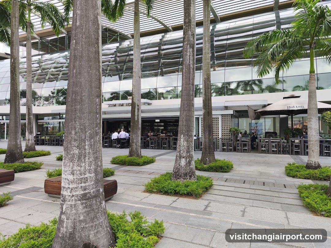 Outdoor Dining Area with Palm Trees