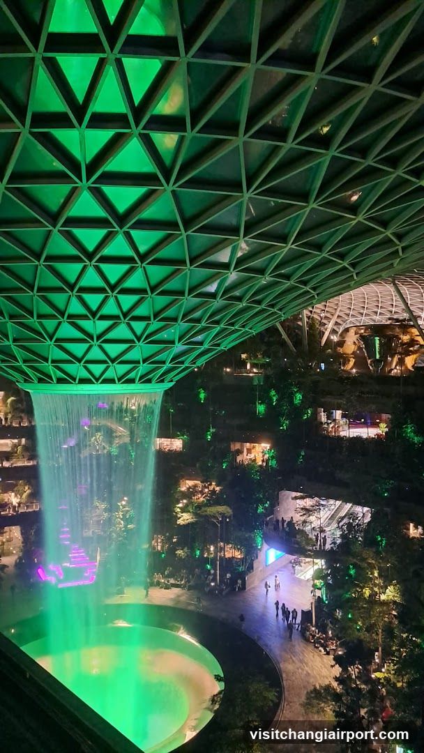 Singapore Garden at Night