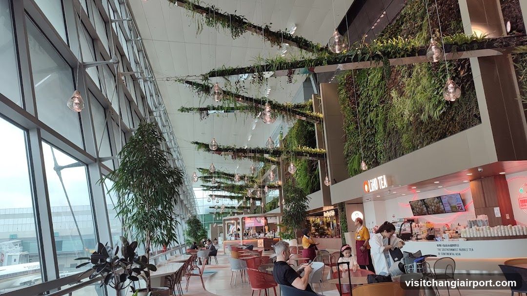 Airport Lounge Interior with Greenery and Food Counter