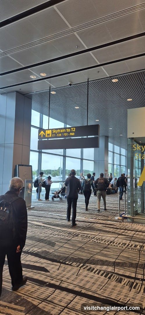 Airport Terminal Interior