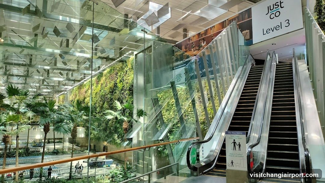 Shopping Center Interior with Escalator and Green Wall
