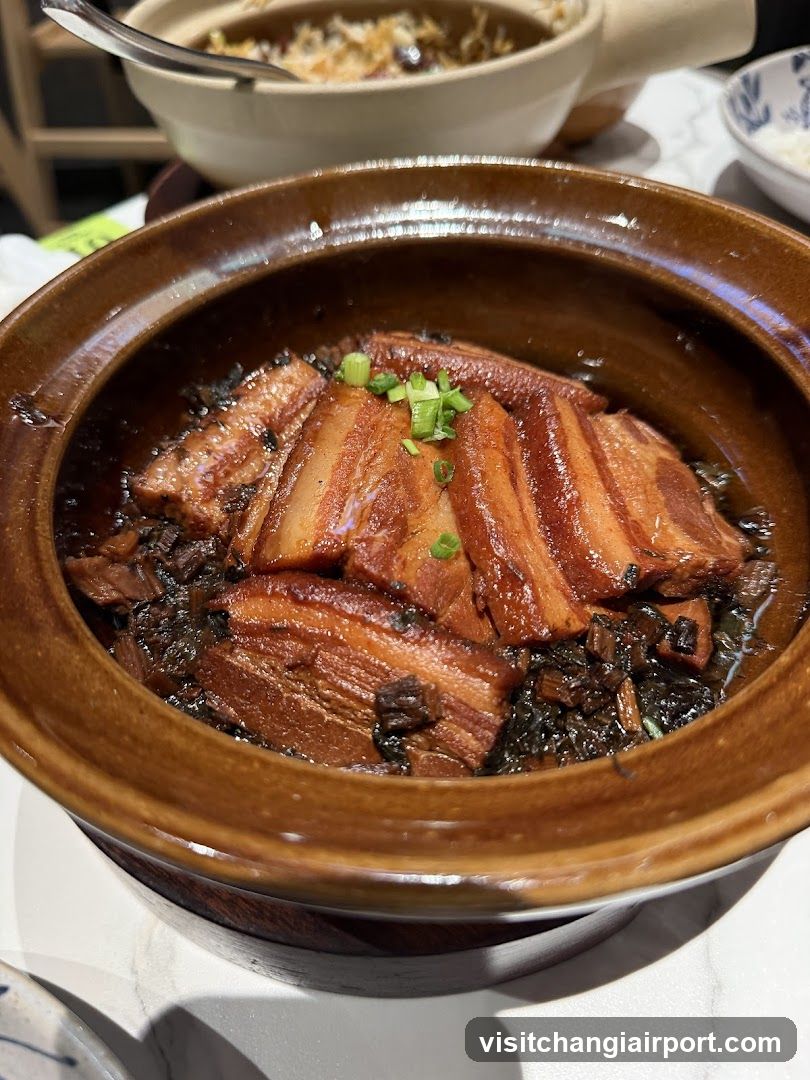 Braised Pork with Preserved Vegetables in Clay Pot