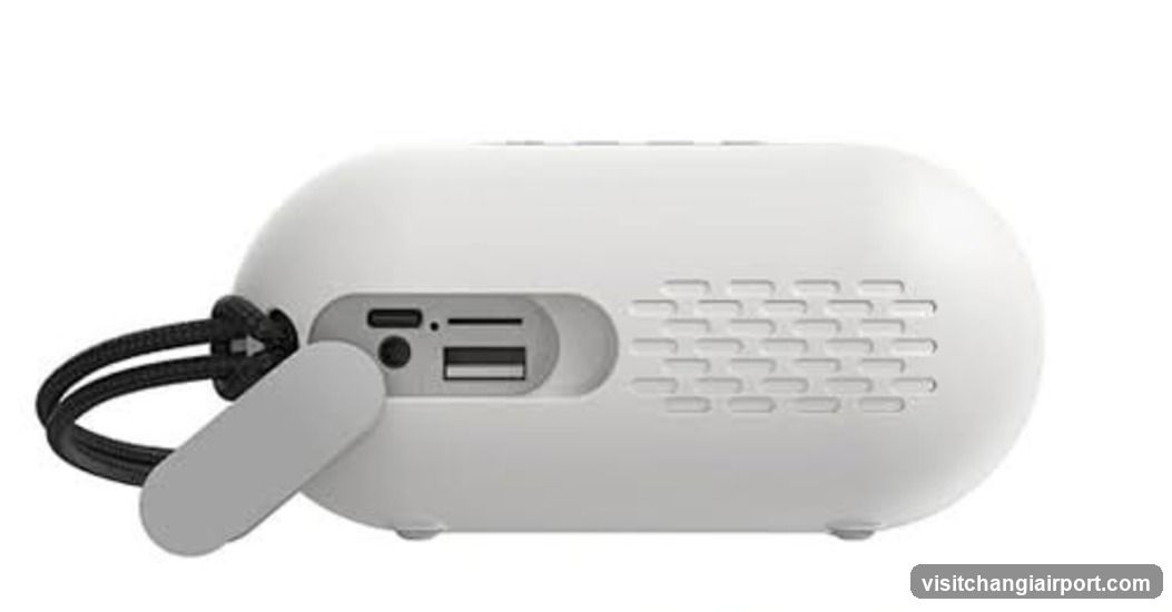 Portable Speaker Device