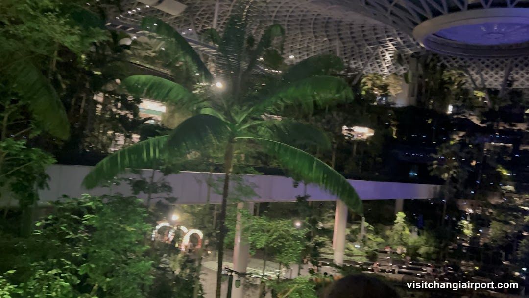 Indoor Tropical Garden at Night