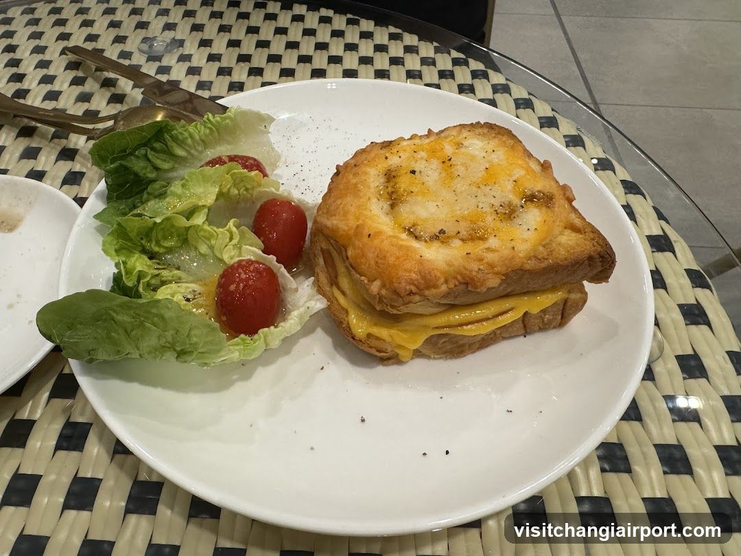 Grilled Cheese Sandwich with Salad