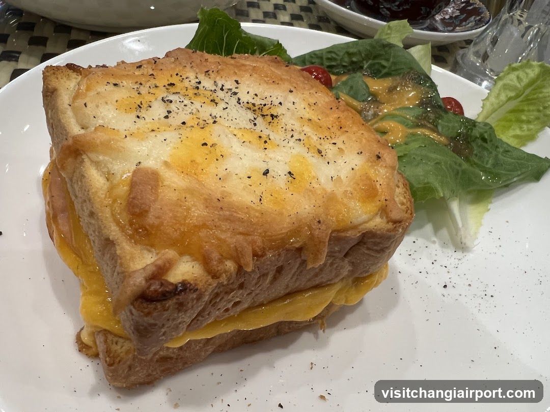 Grilled Cheese Sandwich with Salad