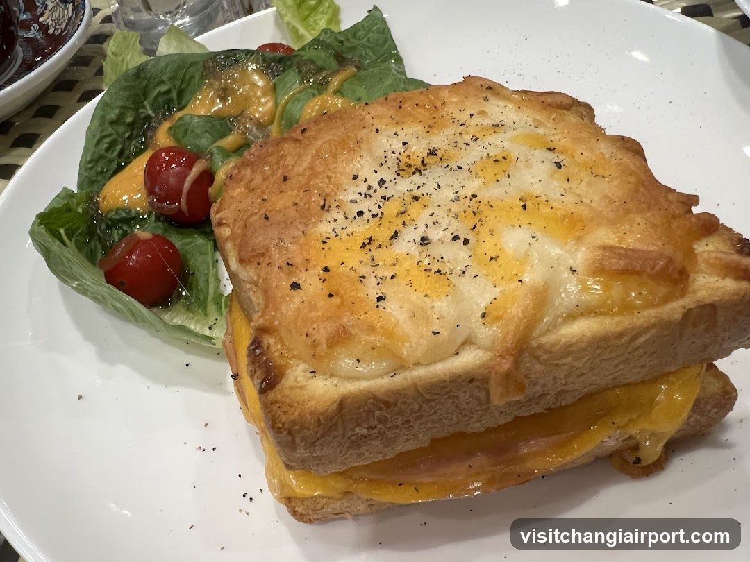 Grilled Cheese Sandwich with Salad