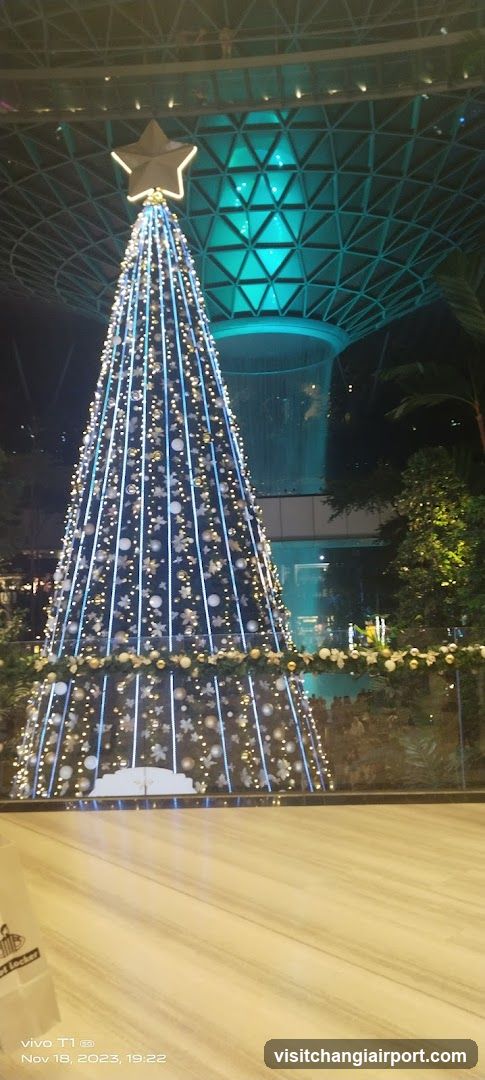 Christmas Tree Display at Night