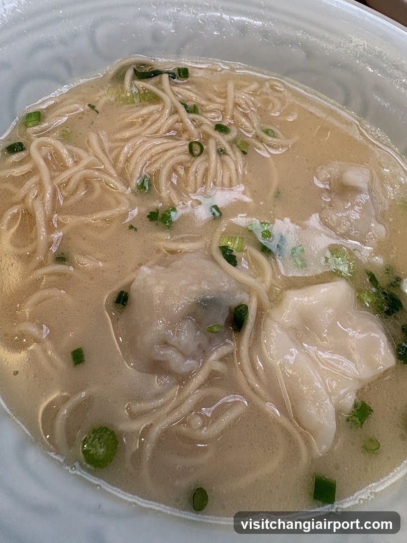 Wonton Noodle Soup Bowl