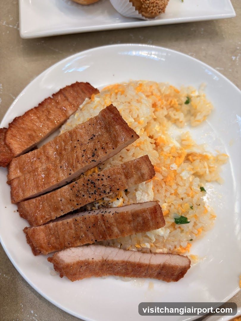 Plate of Fried Rice with Sliced Meat