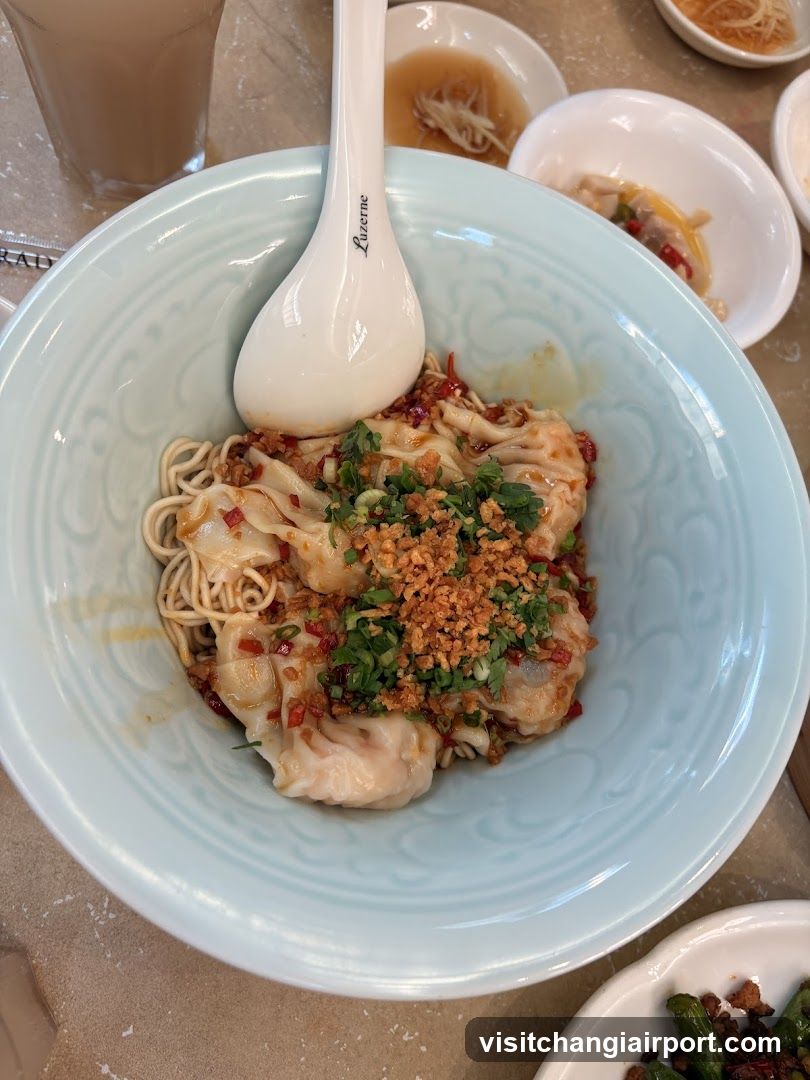 Dumpling Noodles with Chili Oil and Garnish