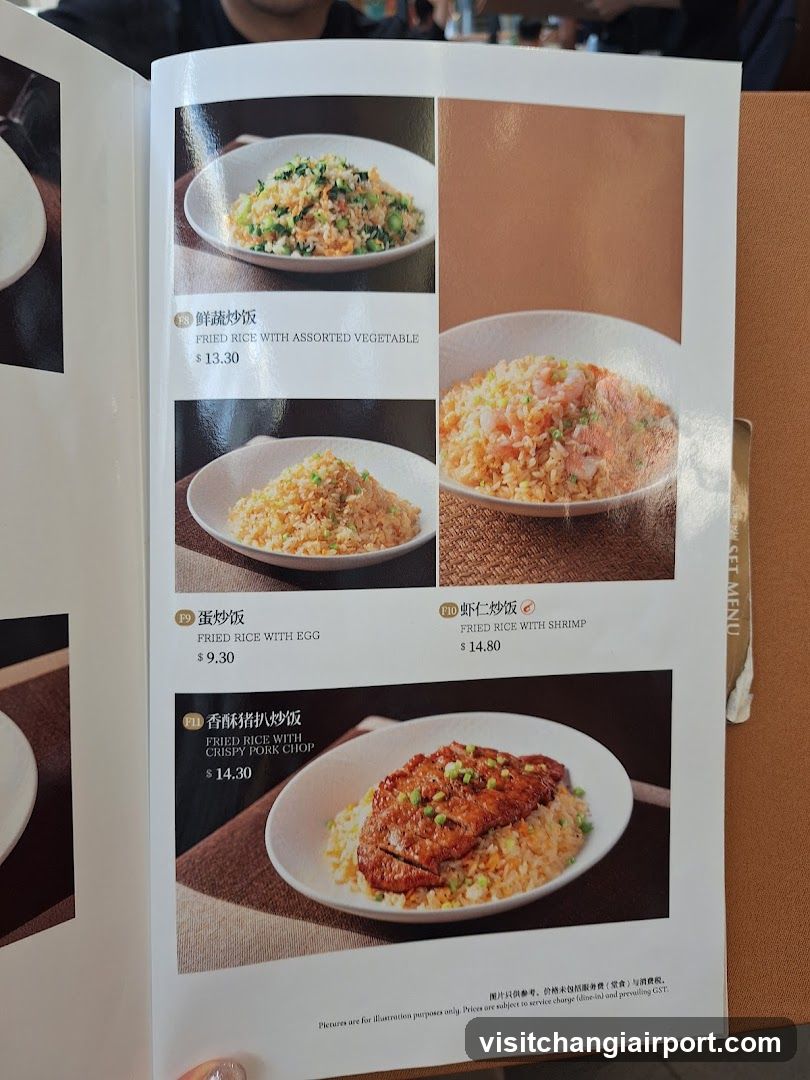 Fried Rice Menu Page
