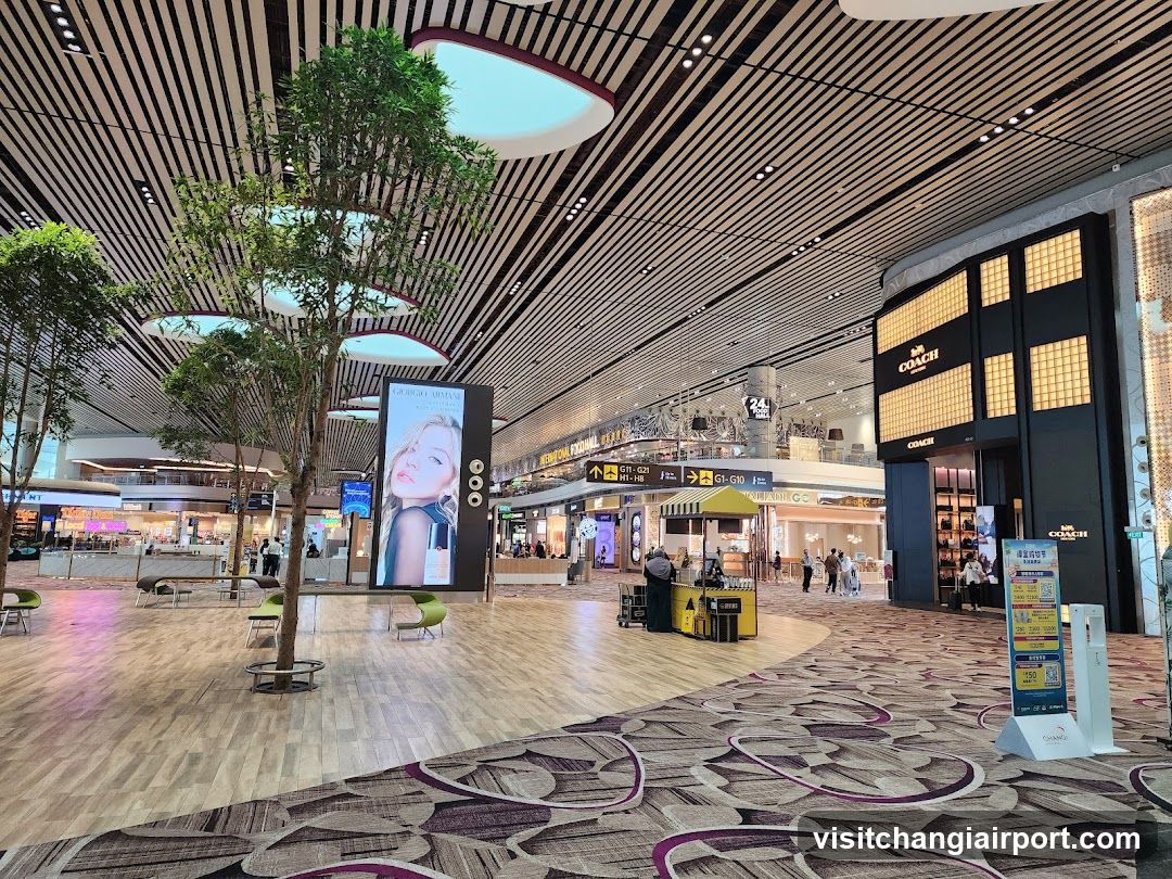 Airport Terminal Interior